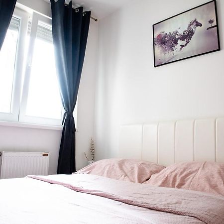 Апартаменты Apartman Black Star Нови-Сад Экстерьер фото